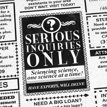 Serious Inquiries Only logo